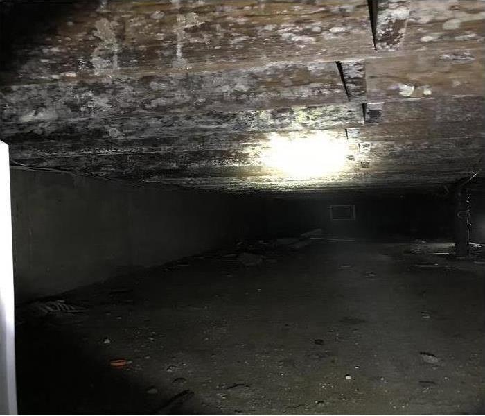 mold growing on floor joists in a crawlspace