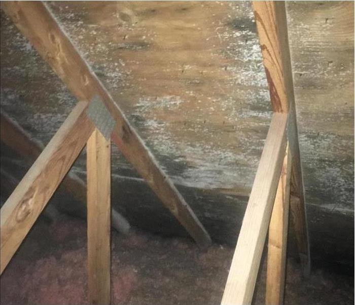 mold visible on the inside of an attic structure