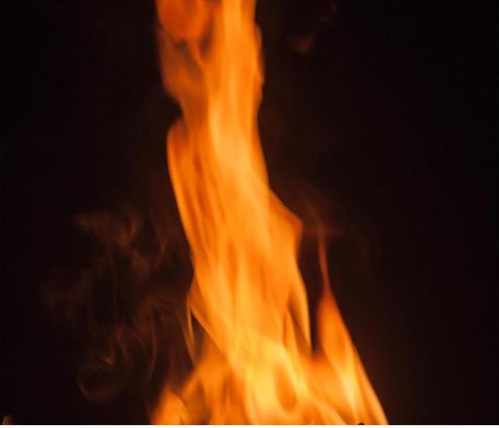 closeup of blaze